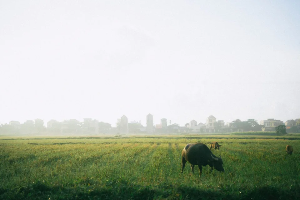 Kho gạo của Trần Công Sáu